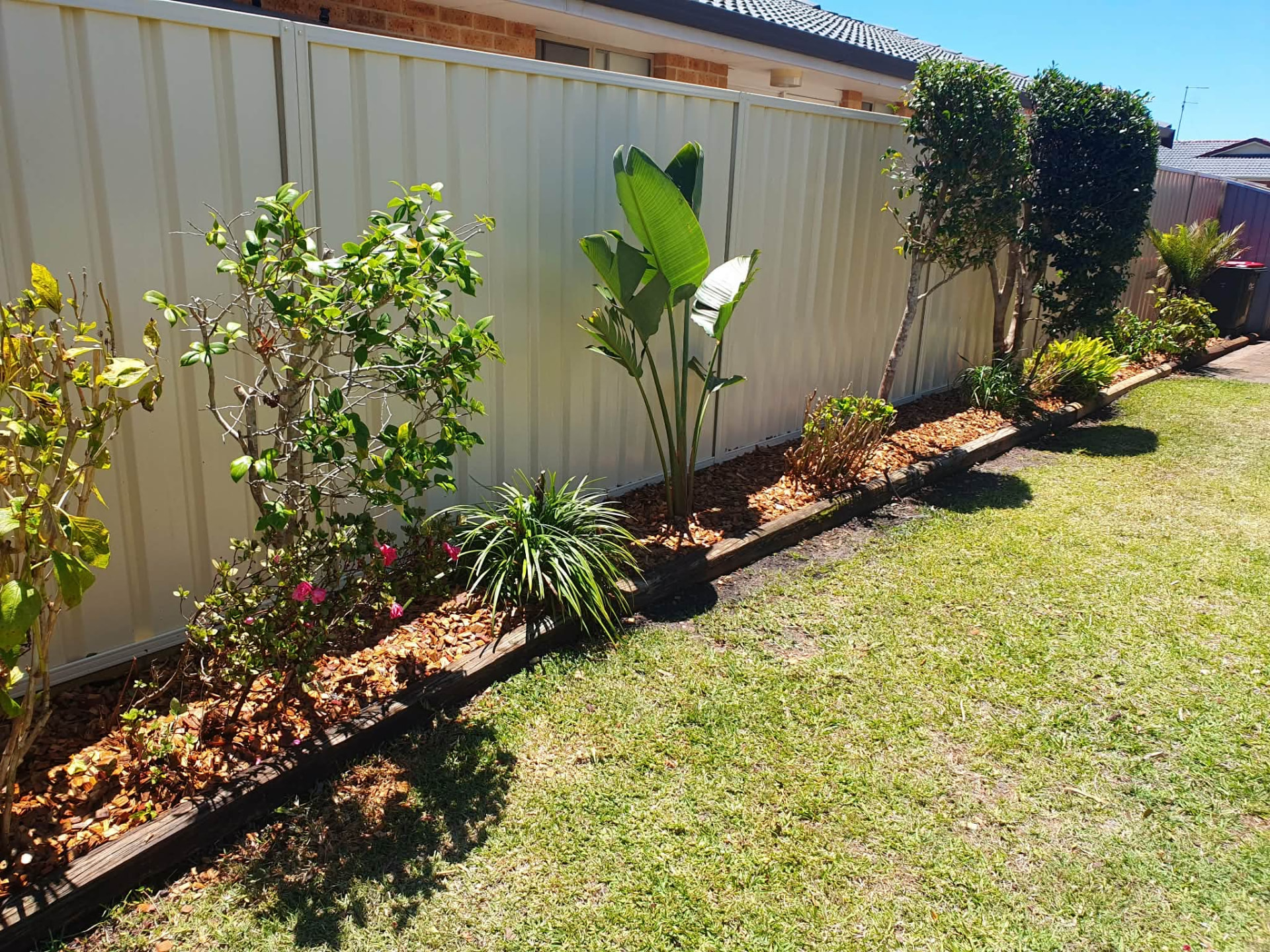 Garden bed weeded and remulched along a backyard fence line