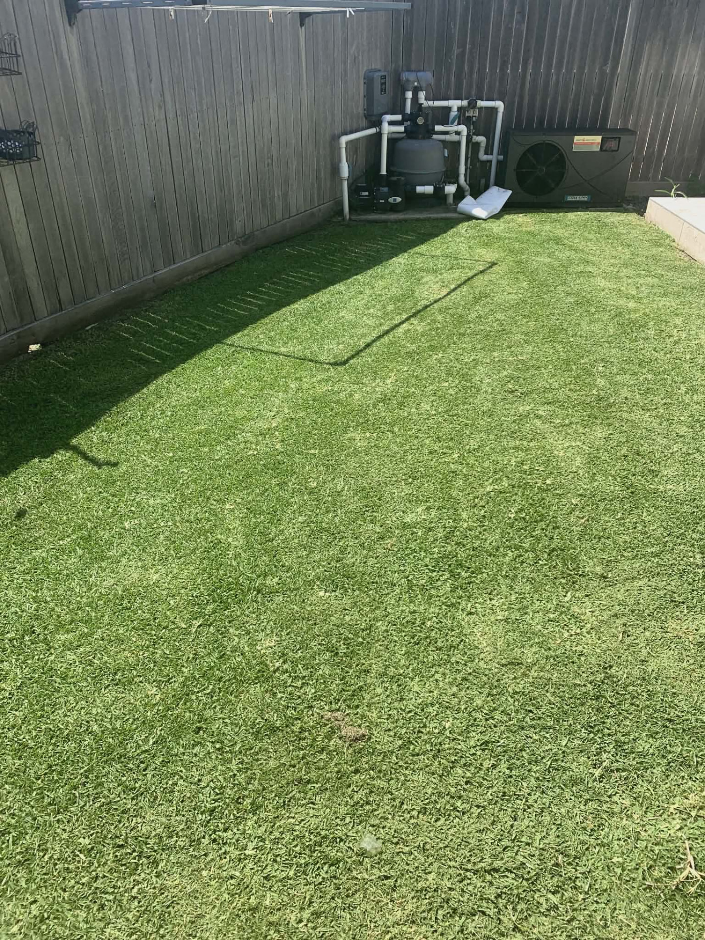 Freshly mown backyard lawn with neat edges around the pool equipment